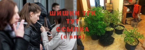 мяу мяу мука Аркадак